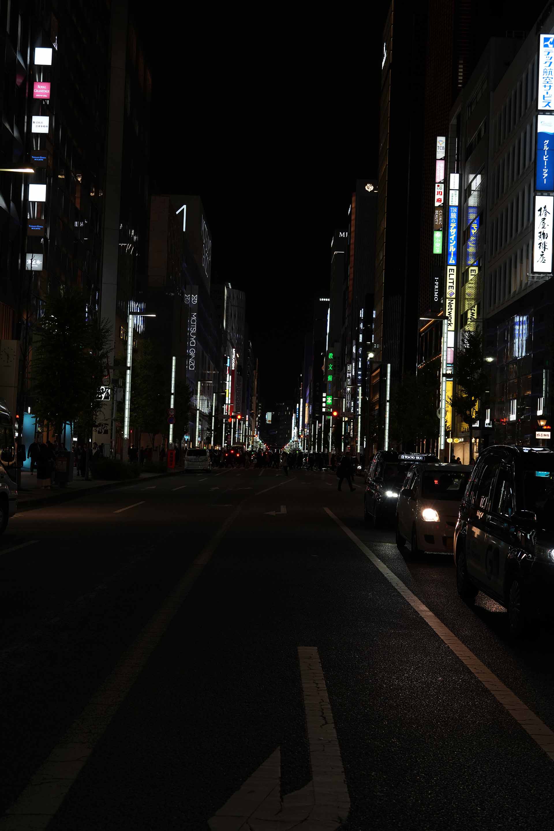 Photoshop Elements 2026完全ガイド｜買い切り$99.99でAI編集はどこまでできるか