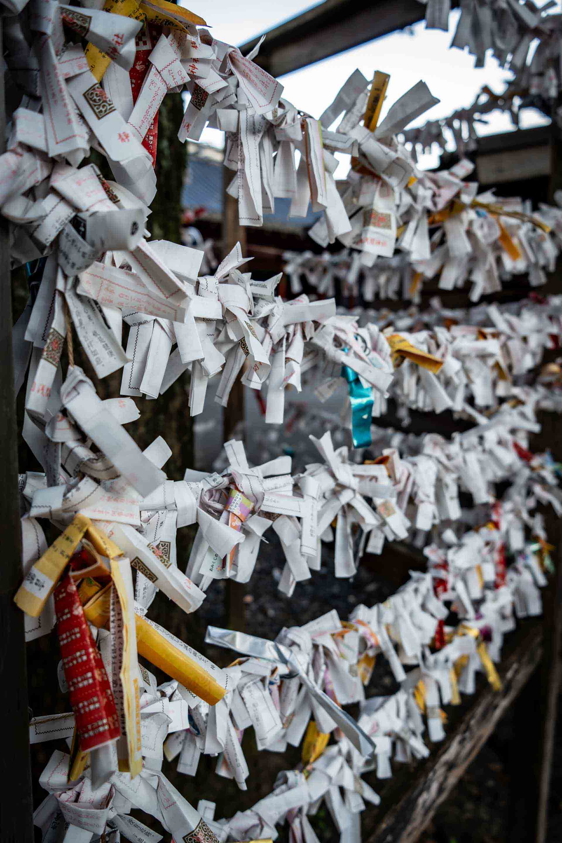 Lightroom Classic連携ワークフロー