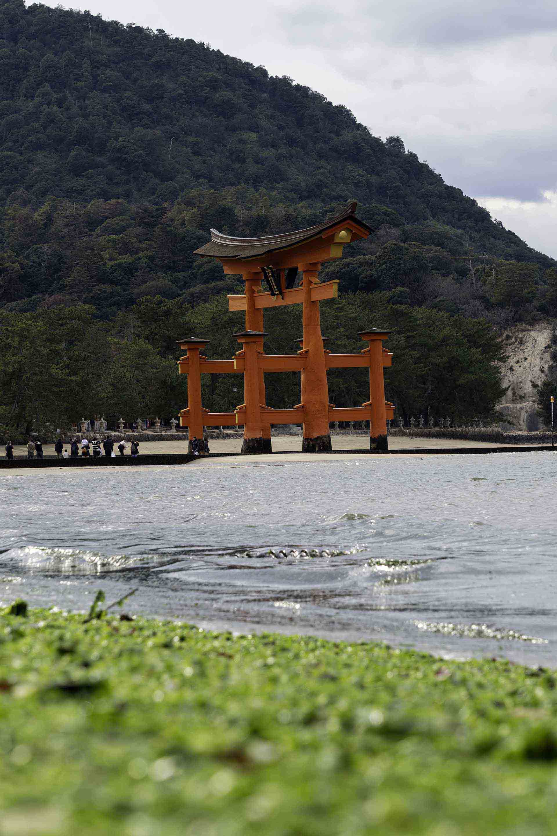 GIMP 3.2リリース｜リンクレイヤー・ベクターレイヤーで非破壊編集が大幅進化