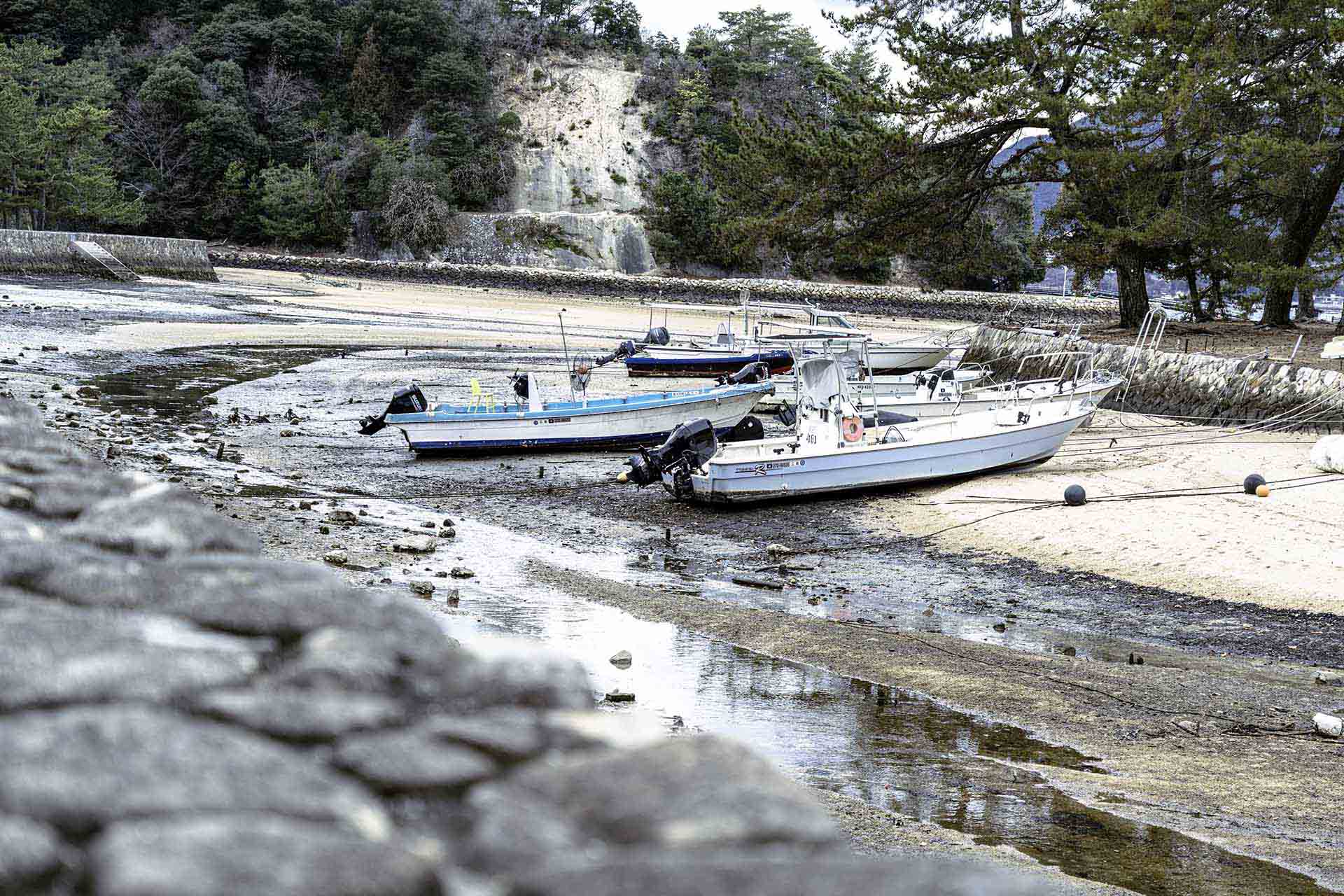 リンクレイヤー