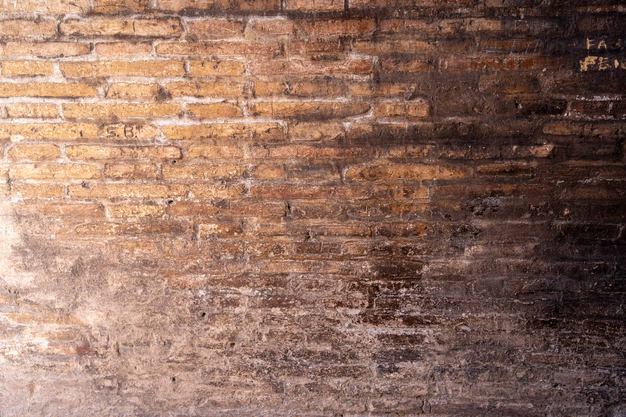 Lightroom Classic AIカリング＆自動ダスト除去 完全活用ガイド