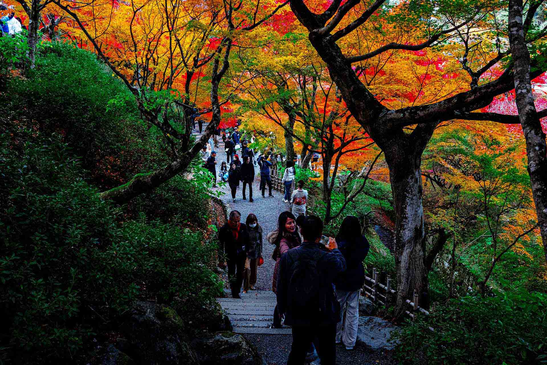 撮影ジャンルによって最適なツールは変わる